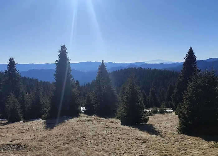 View Apartamento Stoykite